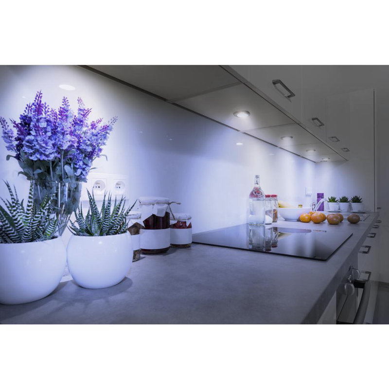 Bazz LED Under Puck Light & Reviews Wayfair